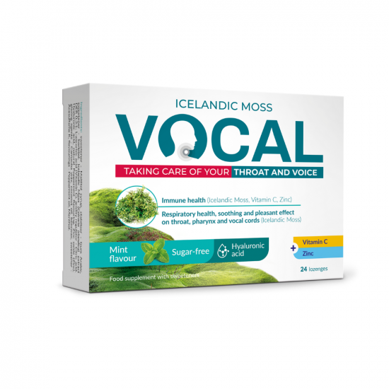 VOCAL SZOPOGATÓTABLETTA MENTA - 24X